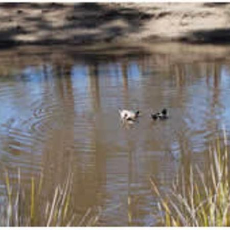 Little Swanport Gumleaves Bush Holidays מראה חיצוני תמונה